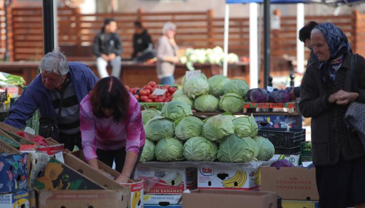 зеле пазар - Агро Телеграф: Д-р Хасан Ефраимов от „Чудната градинка“: Зелето за бидон – да е захарно и с три листа