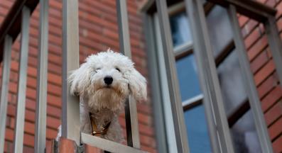 куче апартамент