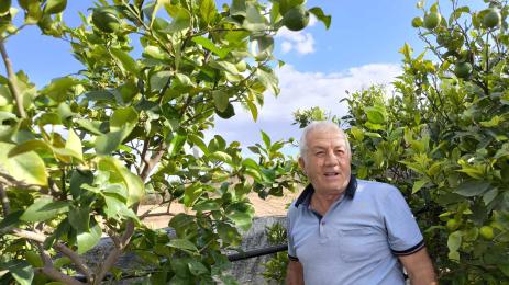 Карузо Феличе