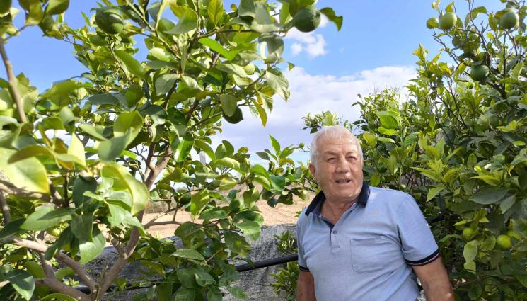 Карузо Феличе - Агро Телеграф: Щастливи лимони и портокали зреят в градините на Феличе