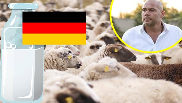 овце мляко - Шефът на НОКА Симеон Караколев пред