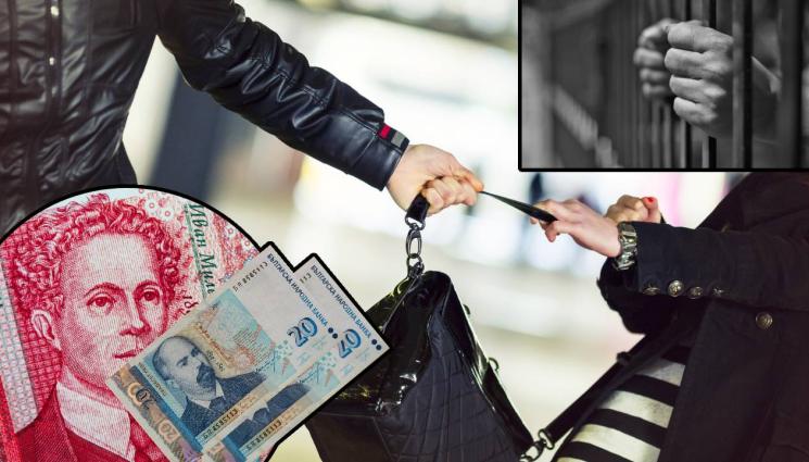 K - ЗА КОКОШКА НЯМА ПРОШКА: 3 години затвор за врачанин, откраднал 45 лева