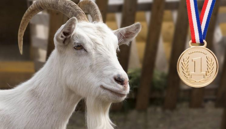 козел - ПЪРВЕНЕЦ: Козел пъхна маратонци в малкия си джоб! (СНИМКИ)