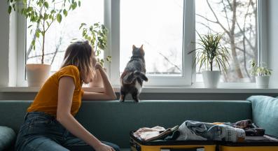 котка и куфар