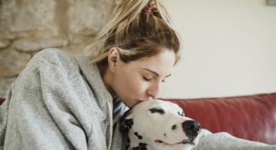 куче човек обич