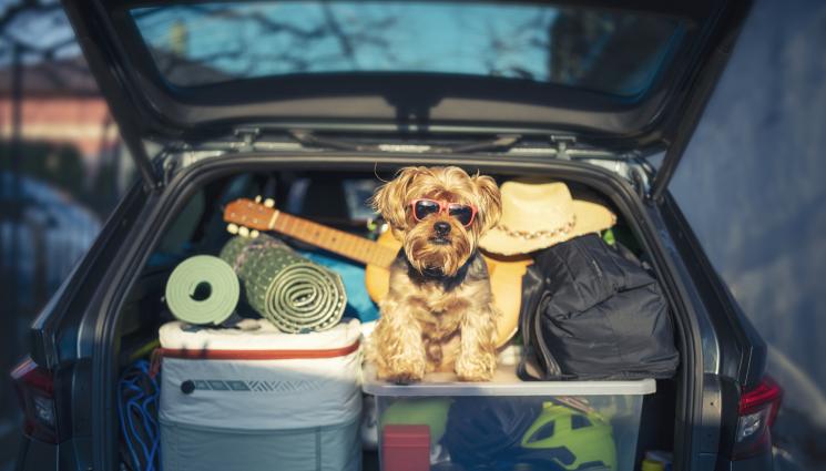 багажник - Солени глоби в Гърция за багажи в колите!