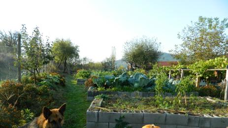 Агро Телеграф