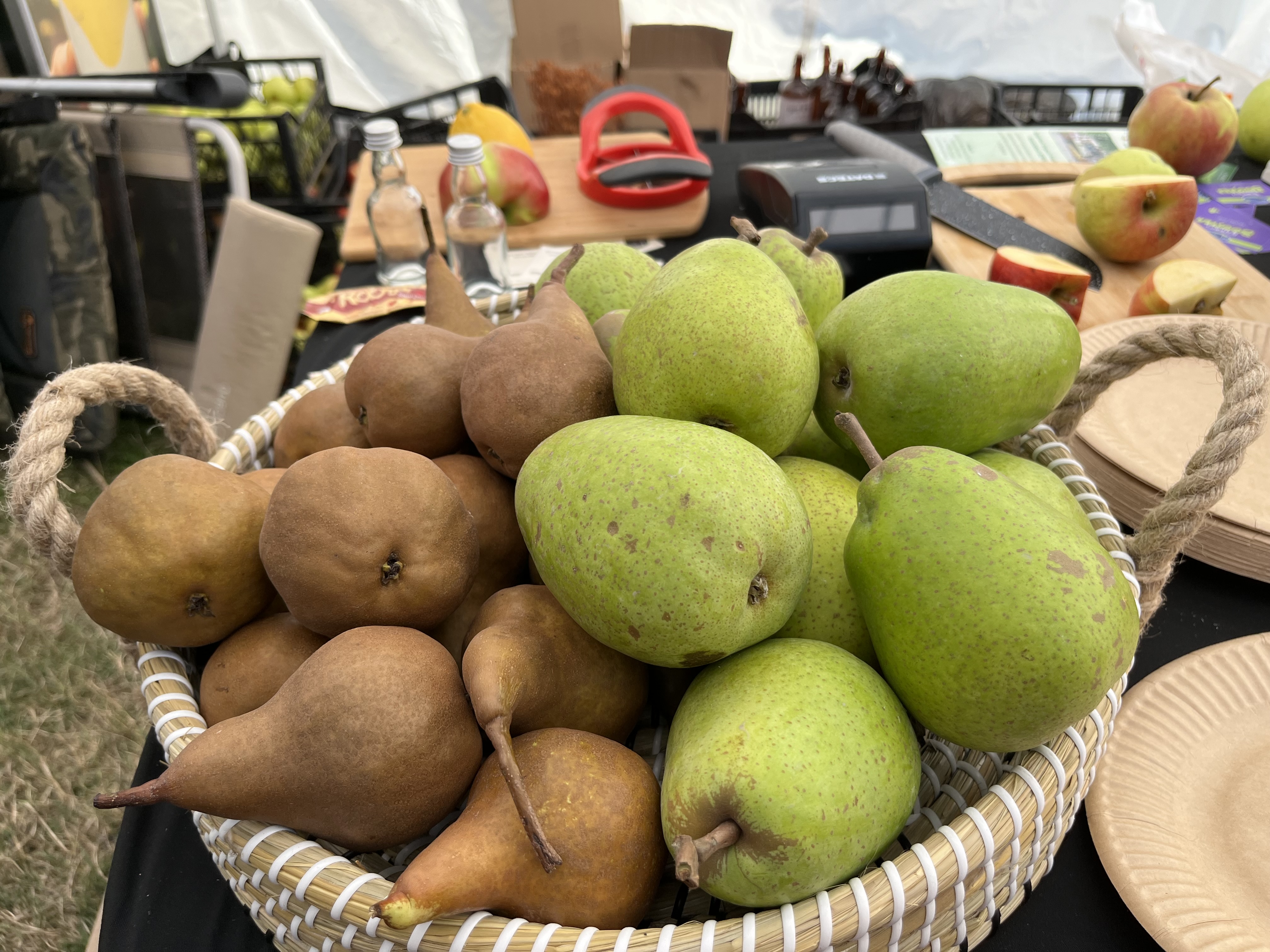 Агро Телеграф