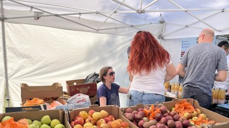 Агро Телеграф