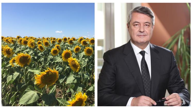 Агро Телеграф - Агро Телеграф: Слънчогледовото семе стигна 1000 лв. за тон