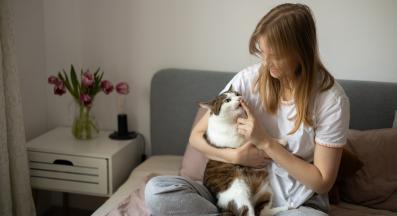 домашна котка