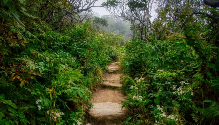 дд - ПОРЕДНА НАХОДКА: Откриха селище у нас като от 
