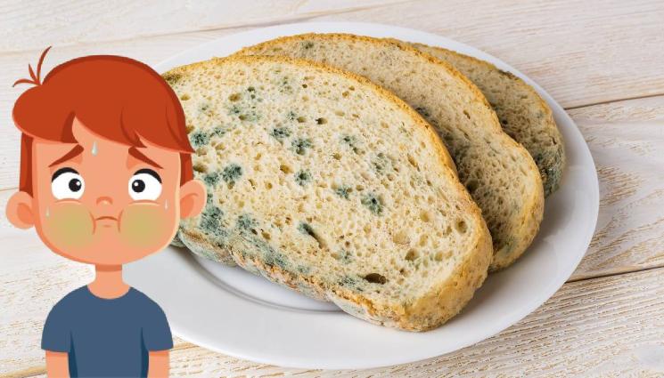 мухъл дете - С КАКВО ХРАНЯТ ДЕЦАТА? Мухлясала филия за закуска в училище! (СНИМКИ)