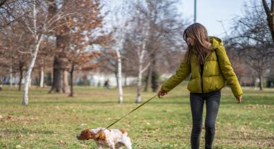 куче дърпа каишка