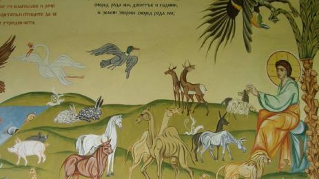 чудеса и вяра