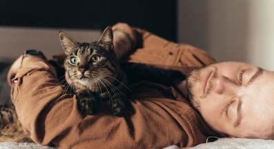 котка и стопанин