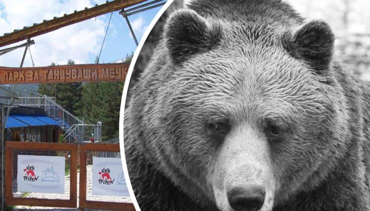 мечок Боби - ТЪЖНА ВЕСТ: Отиде си мечокът Боби