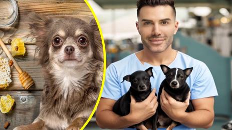 Др Евгени Евтимов