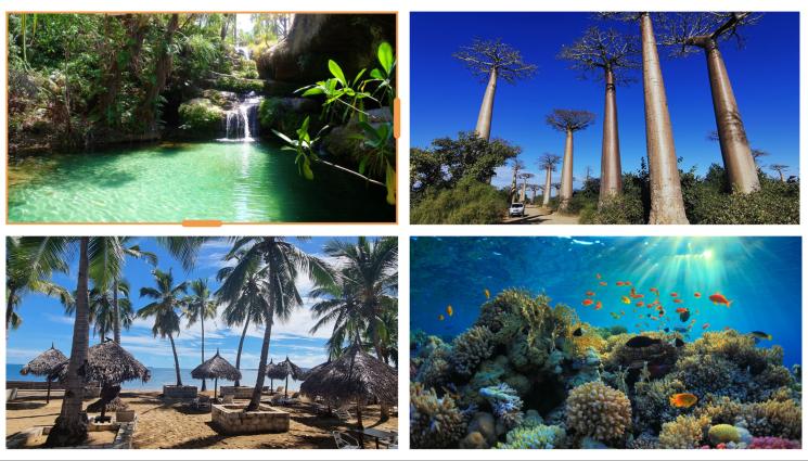 Магадаскар - В Мадагаскар ядат листа и насекоми, за да не умрат от глад (СНИМКИ)