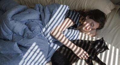 домашна котка