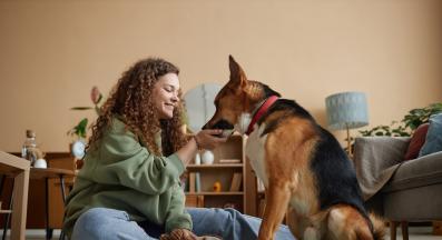 куче и човек