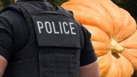 полицай тиква