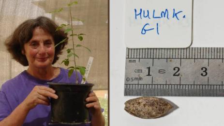 чудеса и вяра