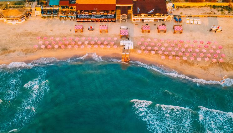 Черно море - НЕОЧАКВАНО: Нов вид мида се появи в Черно море (СНИМКА)