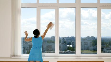 чистачка прозорци