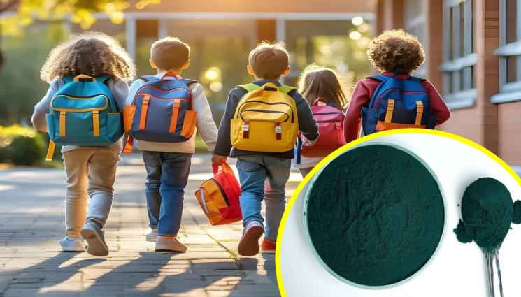 деца - С КАКВО ГИ ТРОВЯТ: Пробутват на децата в училище неизвестна субстанция! (СНИМКИ)