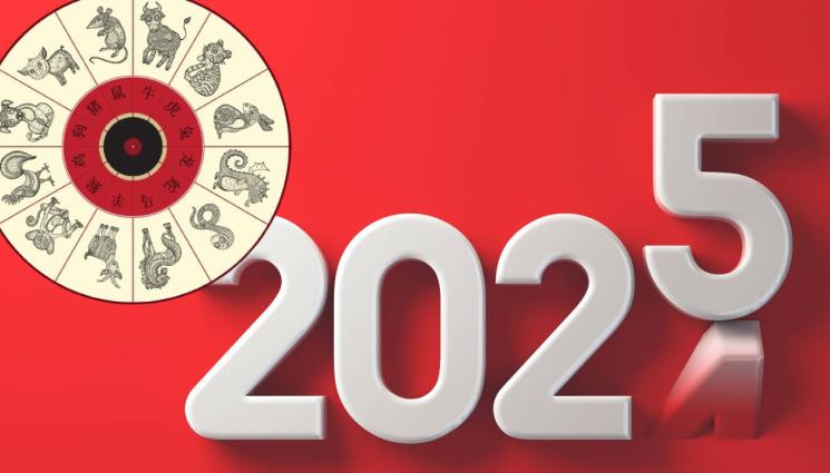 китайски хороскоп - 2025-а под знака на ДЪРВЕНАТА ЗМИЯ!