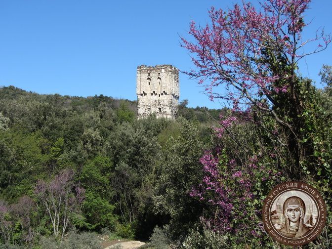 чудеса и вяра