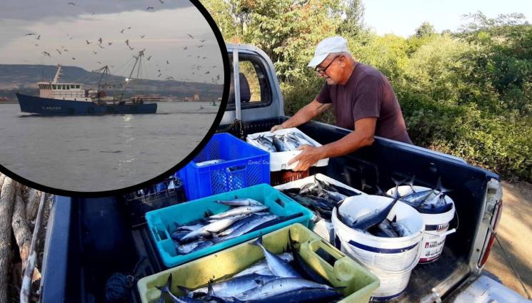 в - Лодка вади тон паламуд на ден!