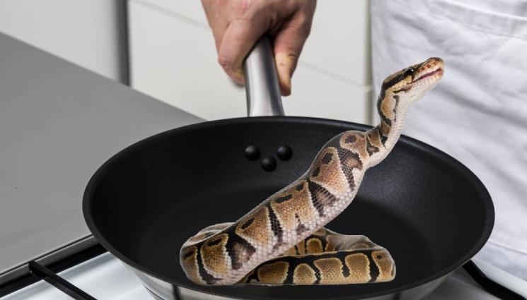 питон - РАДИКАЛНО: Май ще сменяме свинското и пилешкото с питонско!