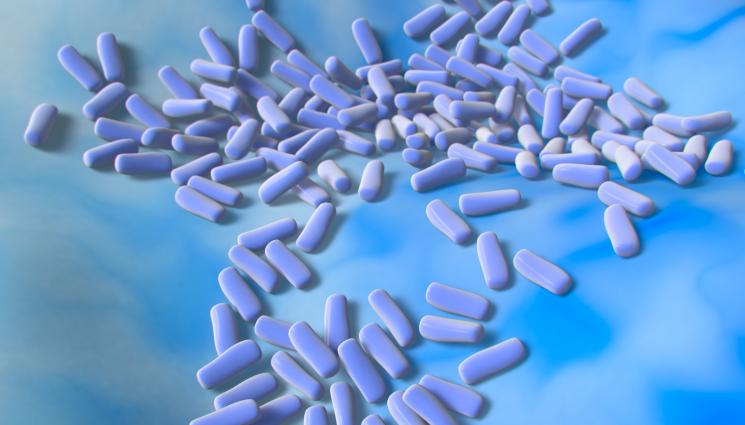 златно време - ЗЛАТНО ВРЕМЕ: Клетките на бирената мая могат да заспиват