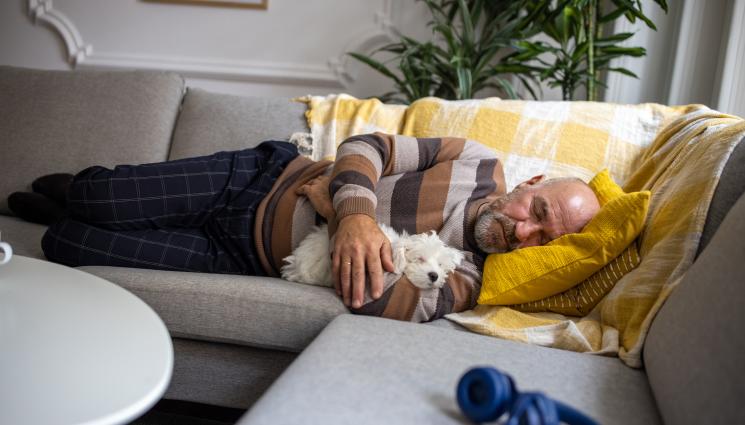 дрямка диван - ЗЛАТНО ВРЕМЕ: Мързеливият уикенд намалява риска от деменция