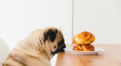 куче подправки