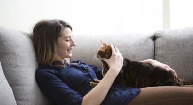 домашна котка и собственик