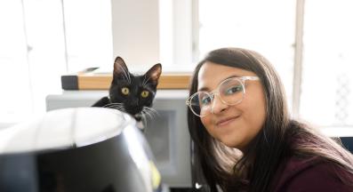 домашна котка