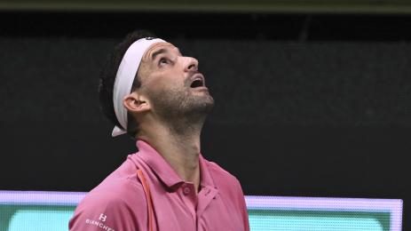 Григор Димитров виена