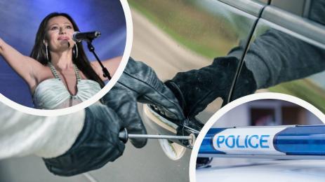 автокрадец цеца