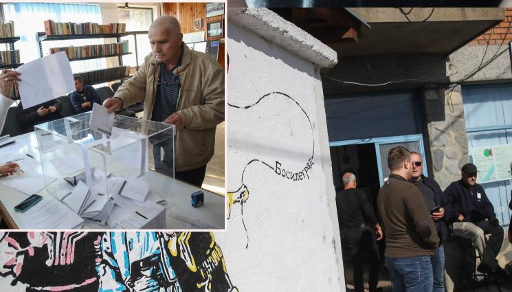 избори - Първо на лов за глигани, после до урната!