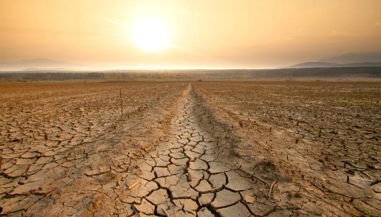 суша - Агро Телеграф: Сушата застрашава житните заради сеитбата