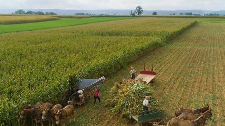 фермери земеделци