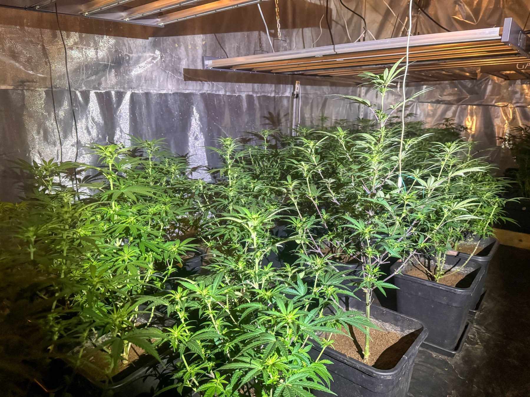 наркотици акция