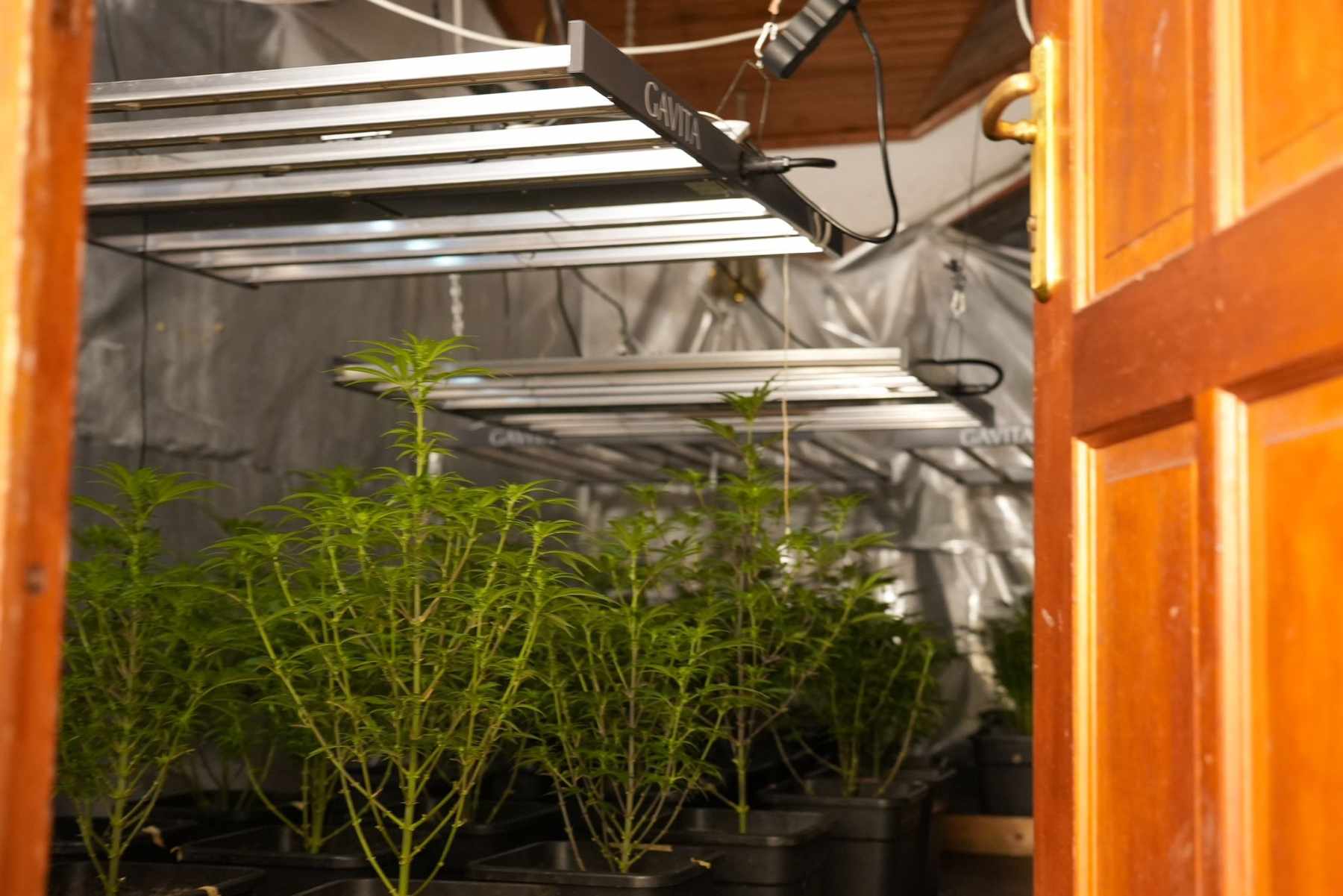 наркотици акция