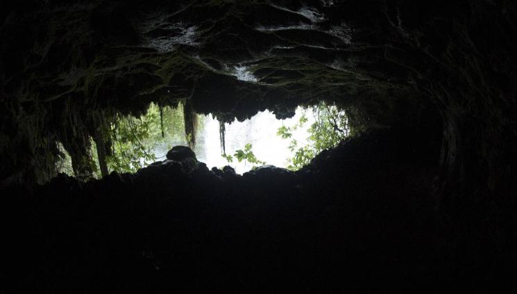 пещера - ВЛЕЗЕШ ЛИ, УМИРАШ: Пещерата, която убива всичко прекрачило прага й! (ВИДЕО+СНИМКА)