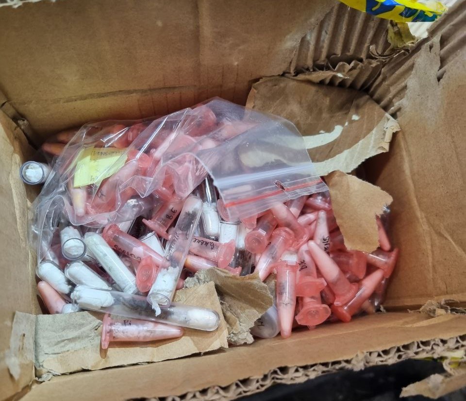 Капитан Андреево