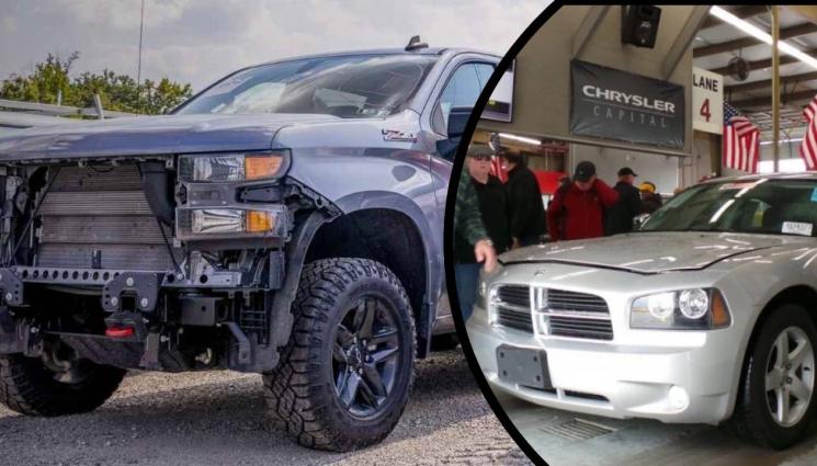 КОЛИ - ЗАРАДИ НИСКИТЕ ИМ ЦЕНИ: Изкупихме трошките на Америка!