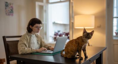 домашна котка